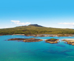 Rangitoto Island