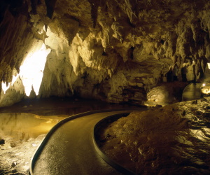 Waitomo Caves
