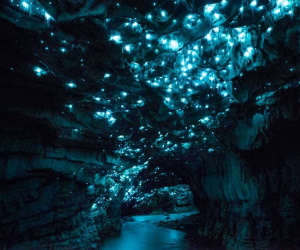 Waitomo Glowworm Caves